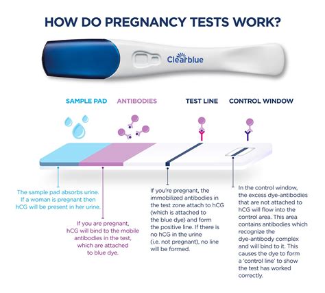 so hard to wait to take pregnancy test|pregnancy test before and after.